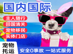 安阳红旗渠机场邮寄国际宠物托运 【国